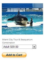 Miami Seaquarium Tour