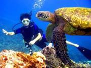 Get Great Discount of Hawaii Scuba Diving Tours package