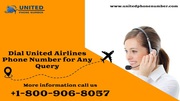 Dial United Airlines Phone Number for Any Query 